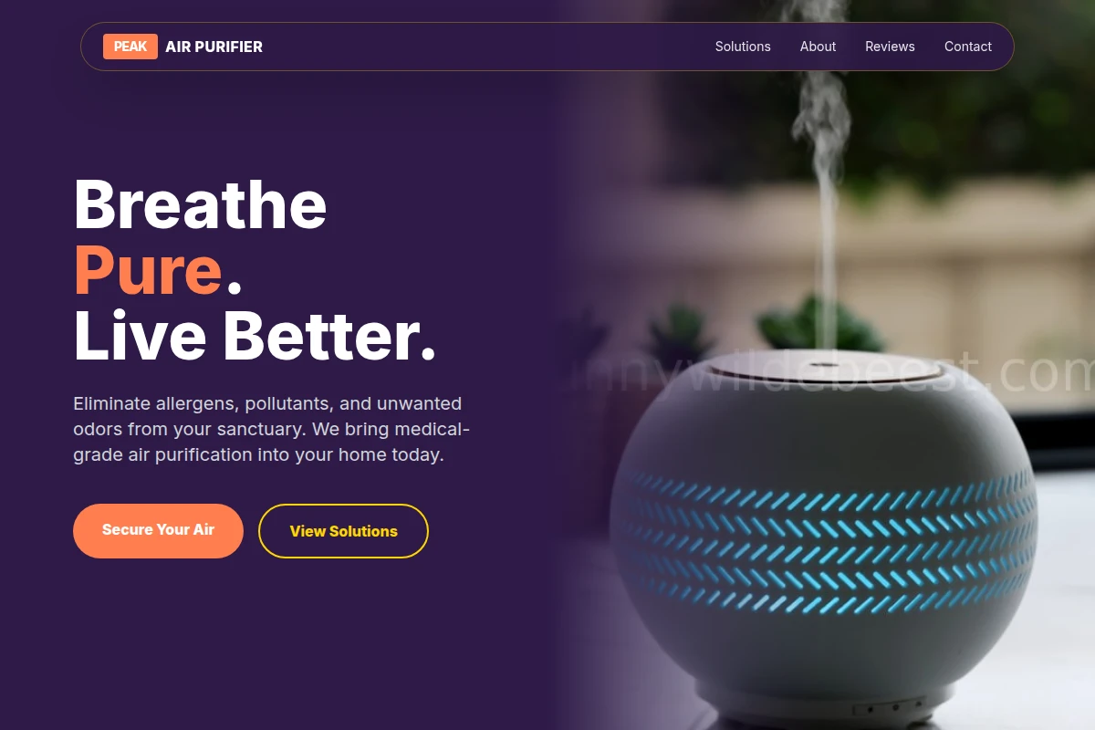 Peak Air Purifier