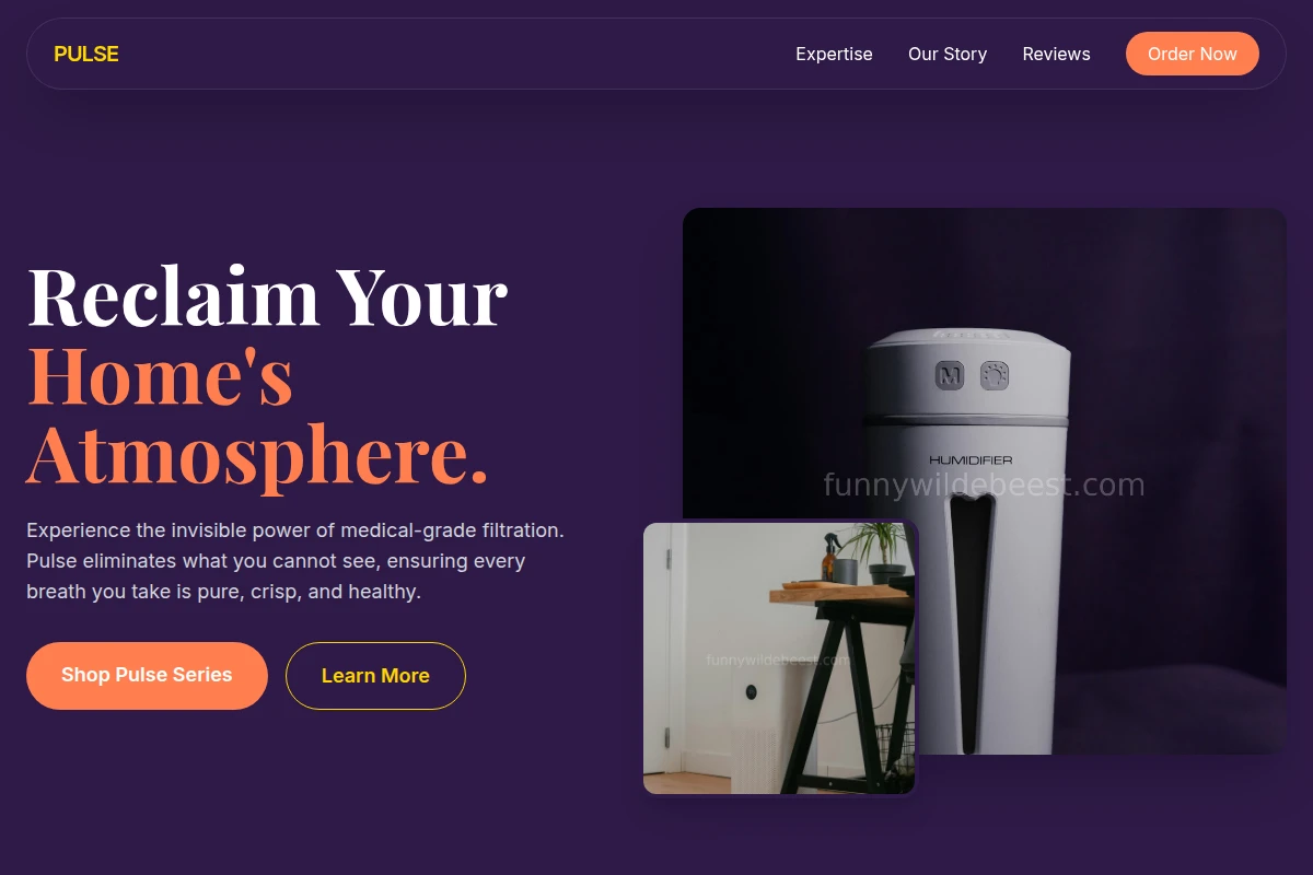 Pulse Air Purifier