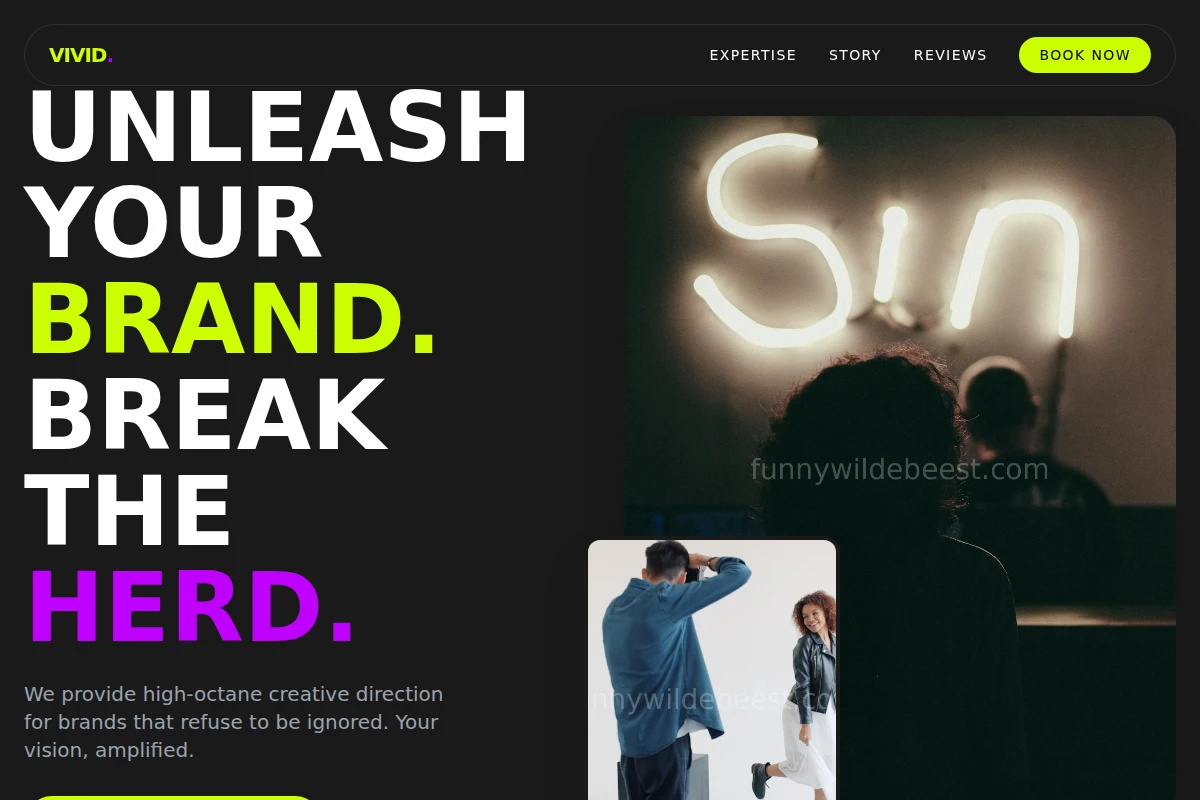 Vivid Creative Direction