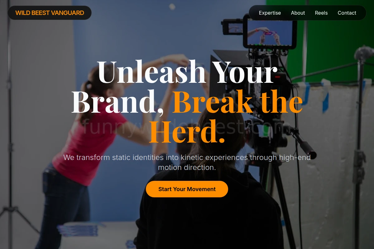 Motion Creative Direction