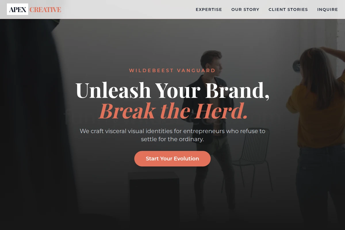 Apex Creative Direction