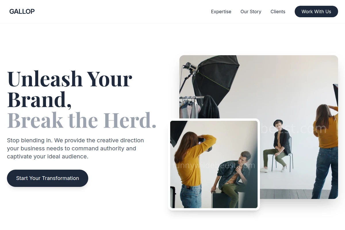 Gallop Creative Direction