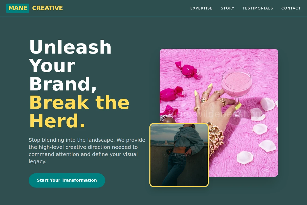 Mane Creative Direction