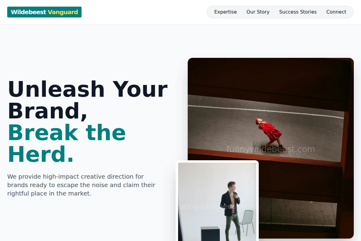 Gallop Creative Direction