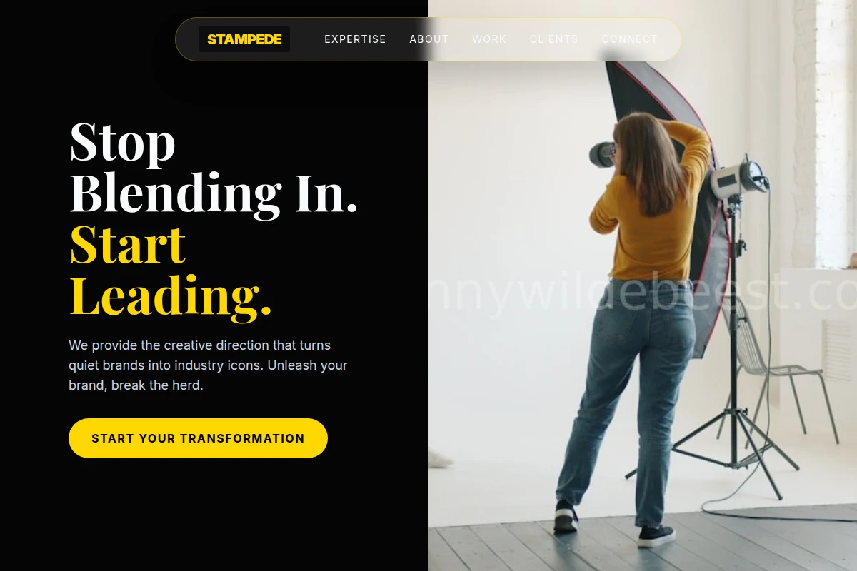 Stampede Creative Direction