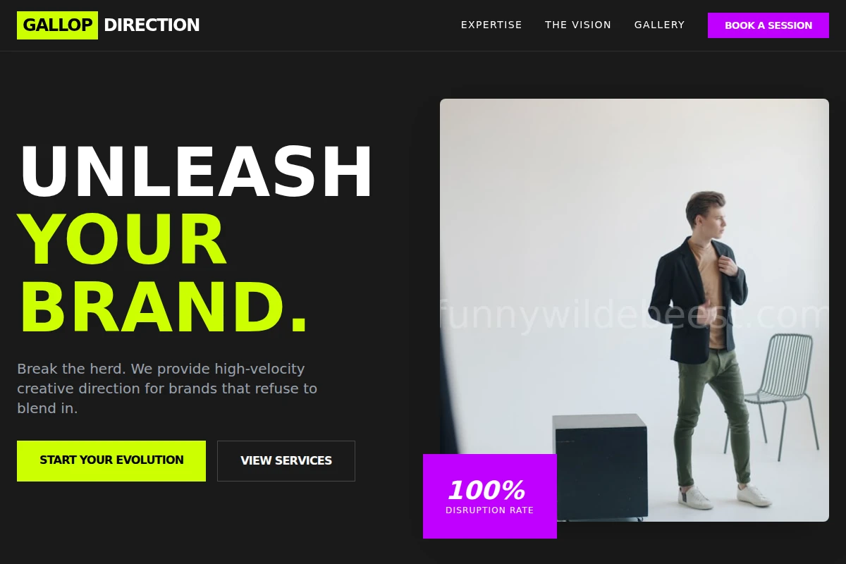 Gallop Creative Direction