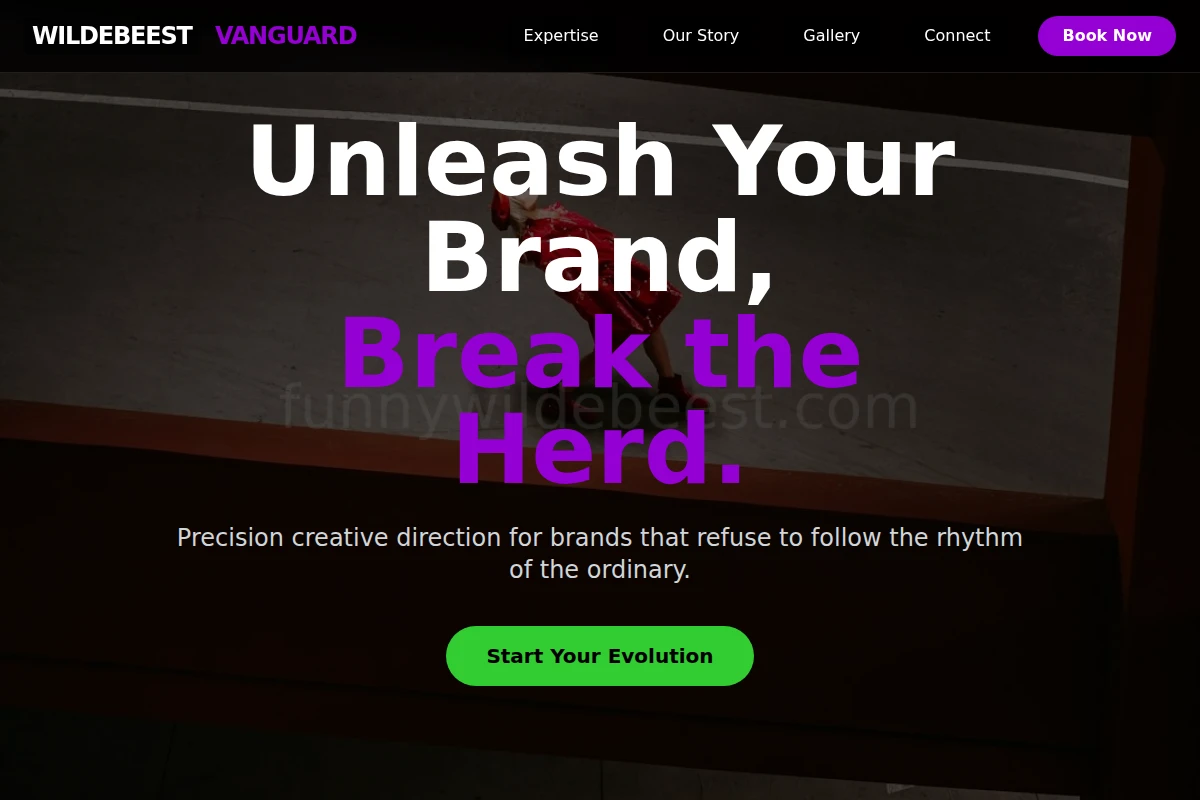 Groove Creative Direction