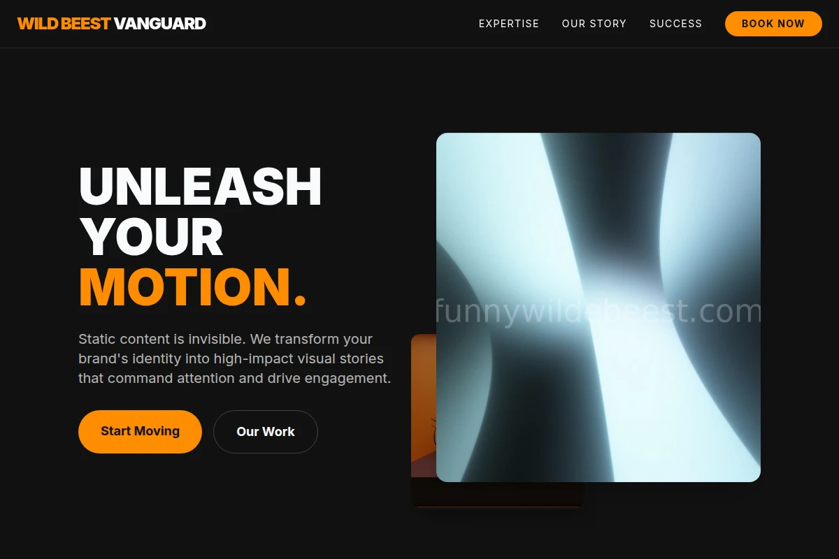 Bold Motion Graphics