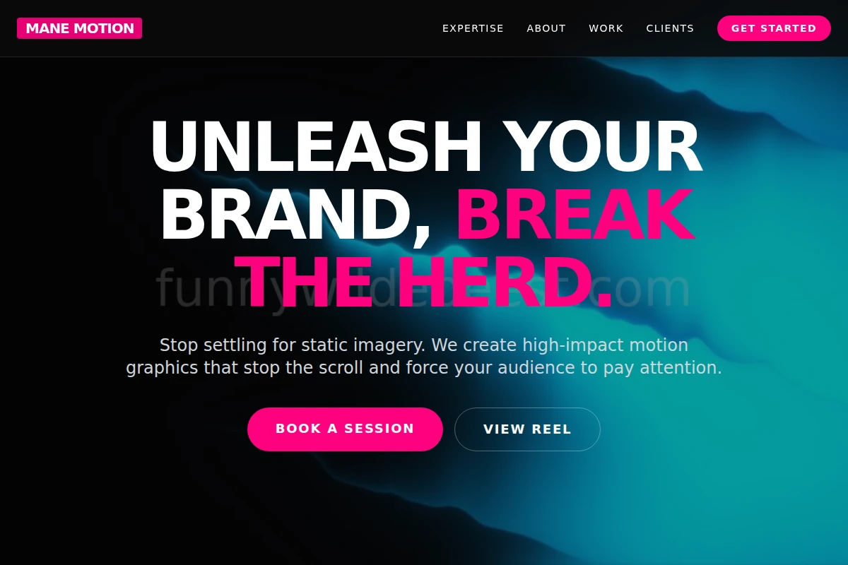 Mane Motion Graphics