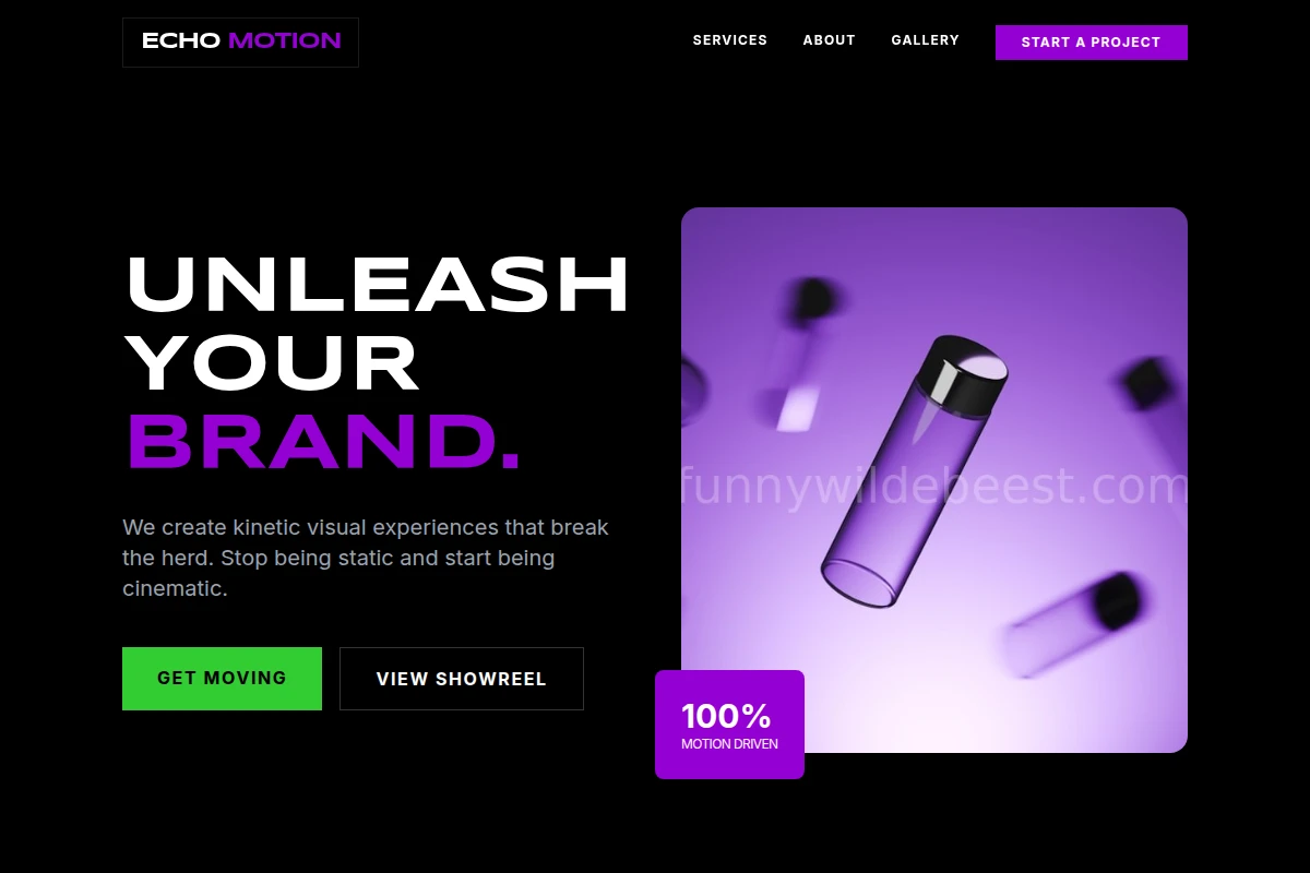 Echo Motion Graphics
