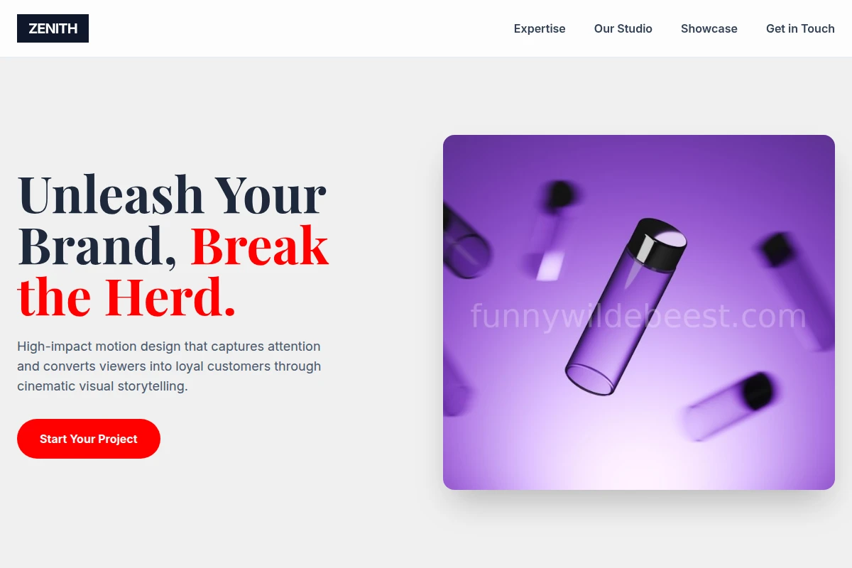 Zenith Motion Graphics