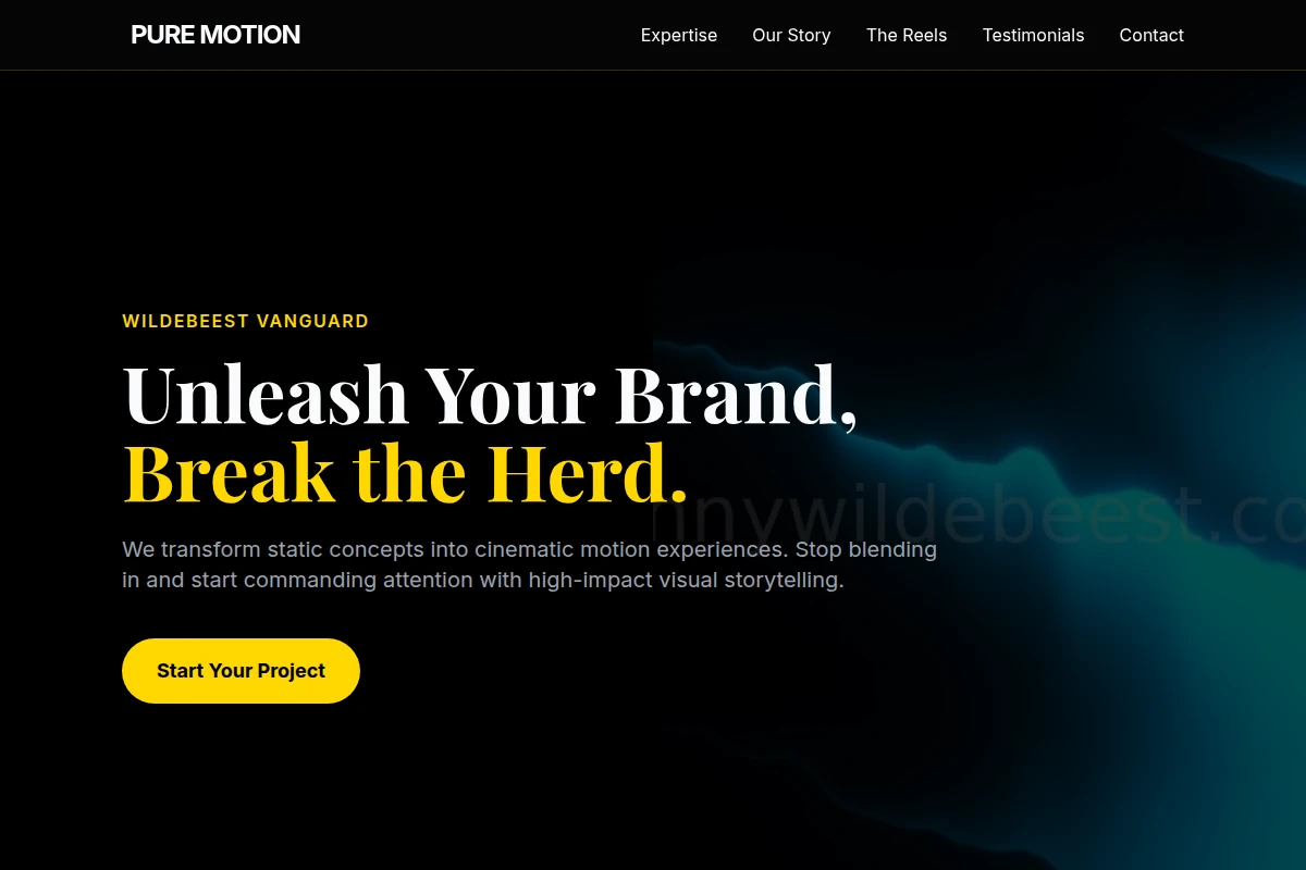 Pure Motion Graphics