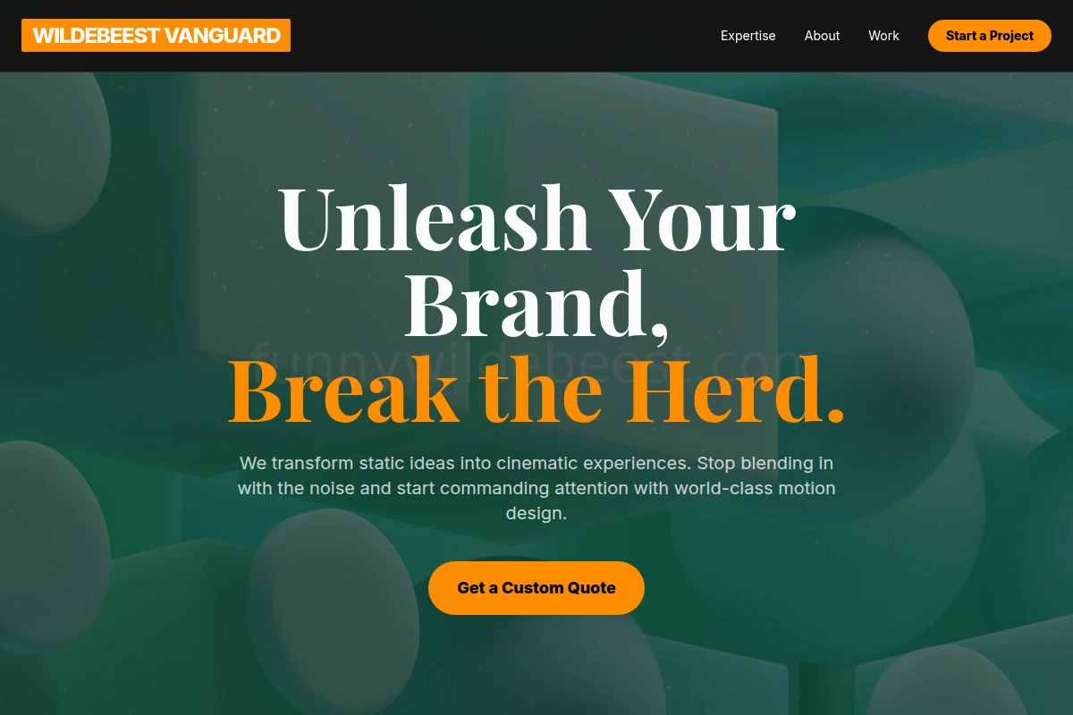 Raw Motion Graphics