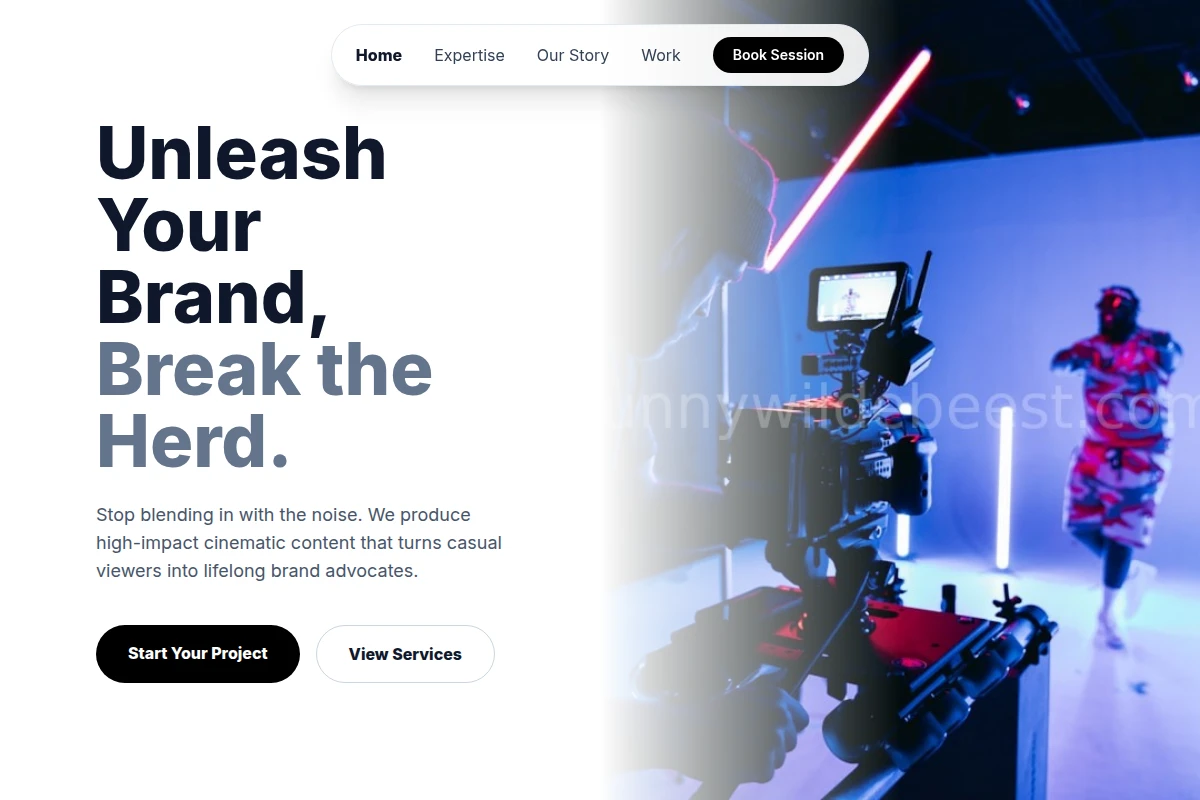 Visual Video Production