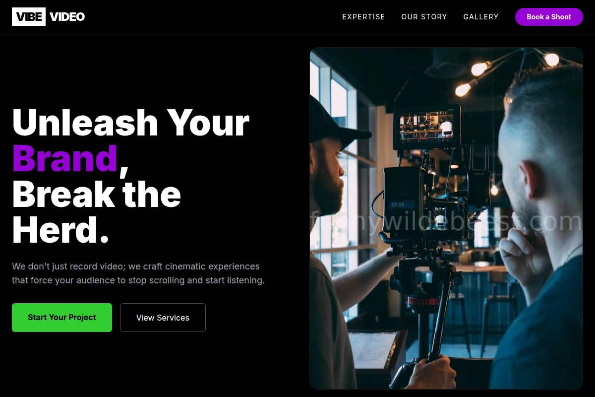Vibe Video Production