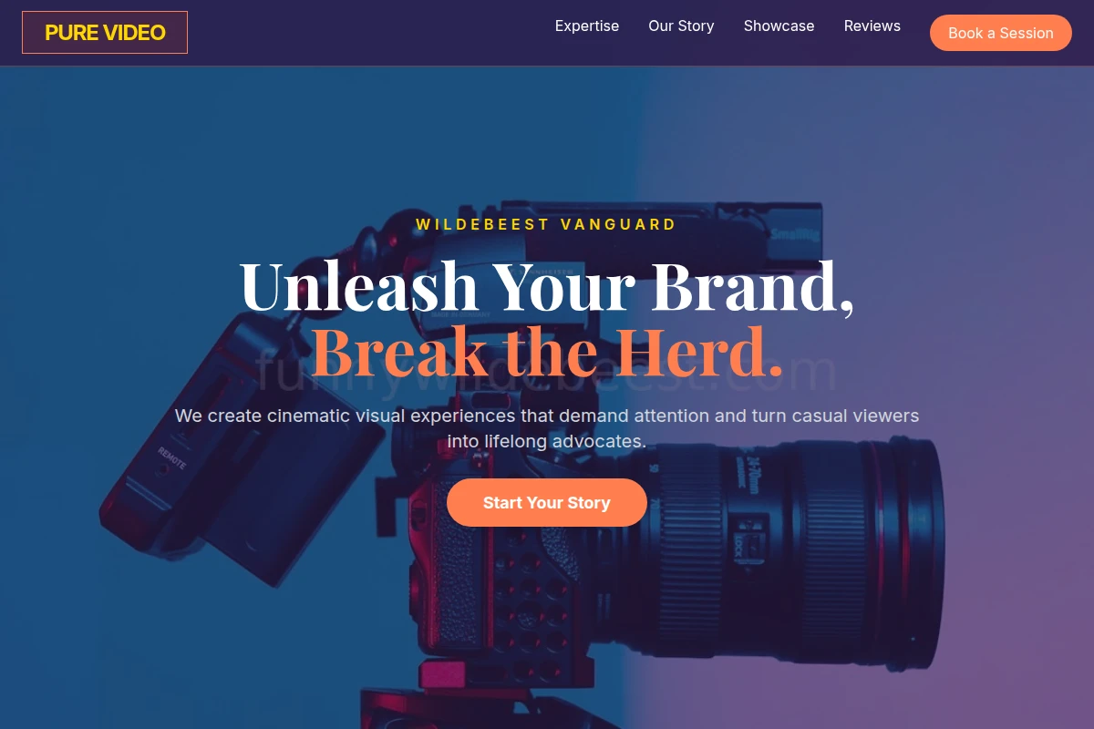 Pure Video Production