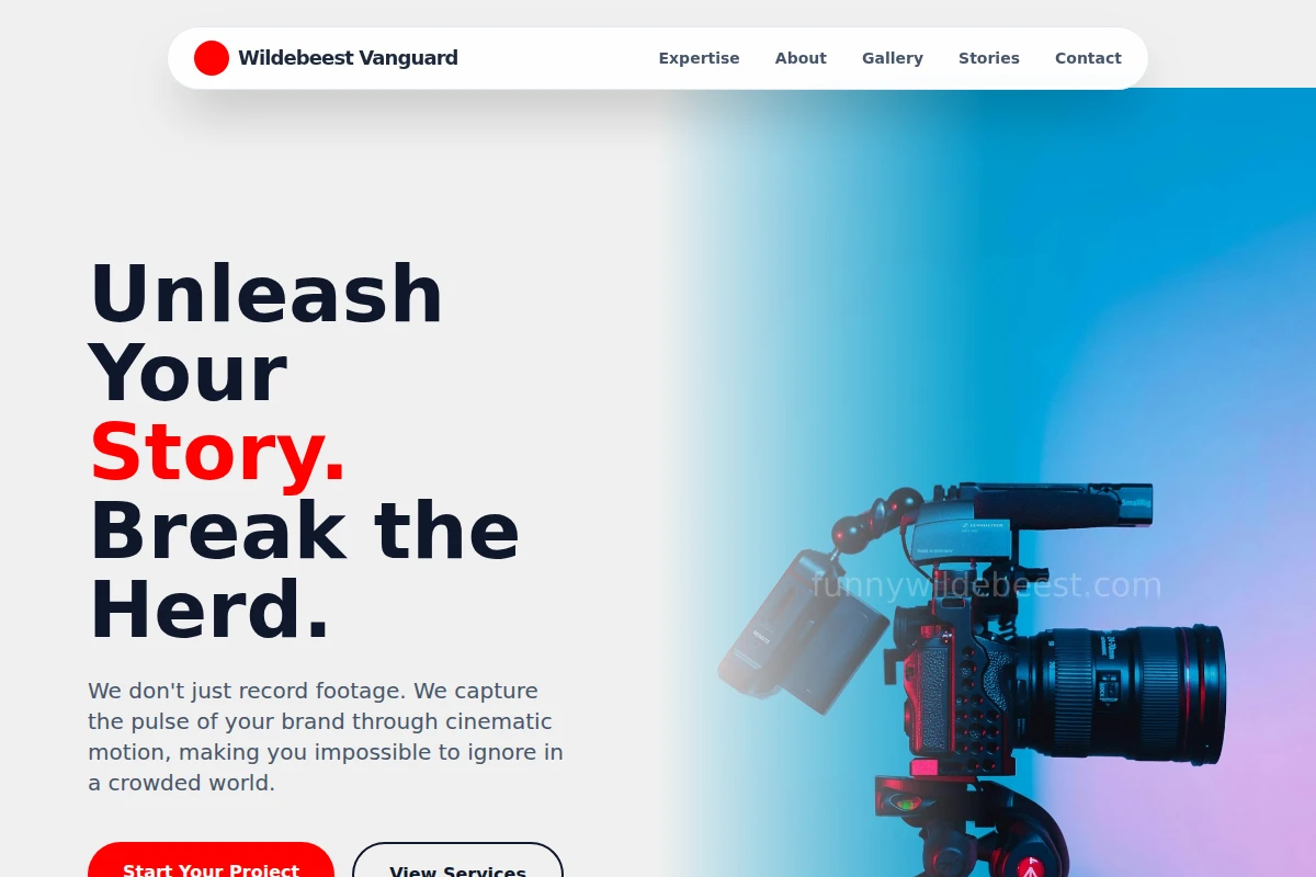 Bold Video Production